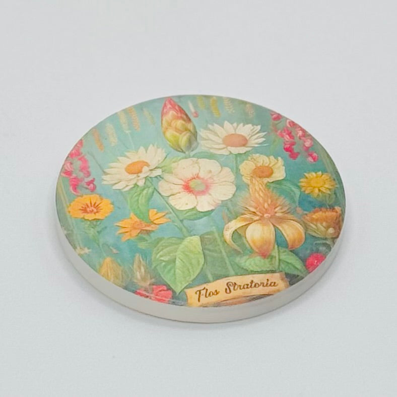 Tipsy Car Coasters