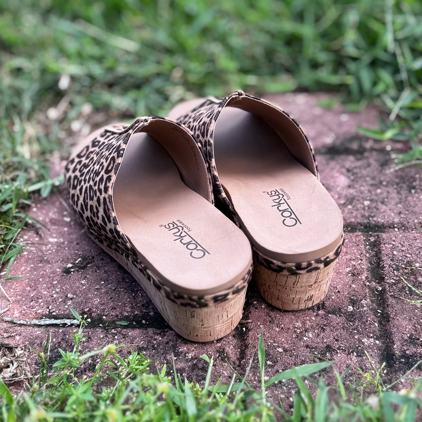 Hissy Fit By Corky's In Tan Leopard