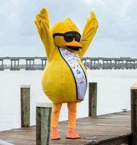 Adopt A Duck for Pace