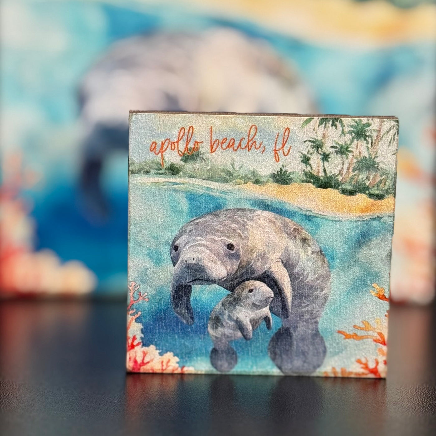 Sincere Surroundings Home Gifts - Magnet - Manatees Beach Scene / Apollo Beach