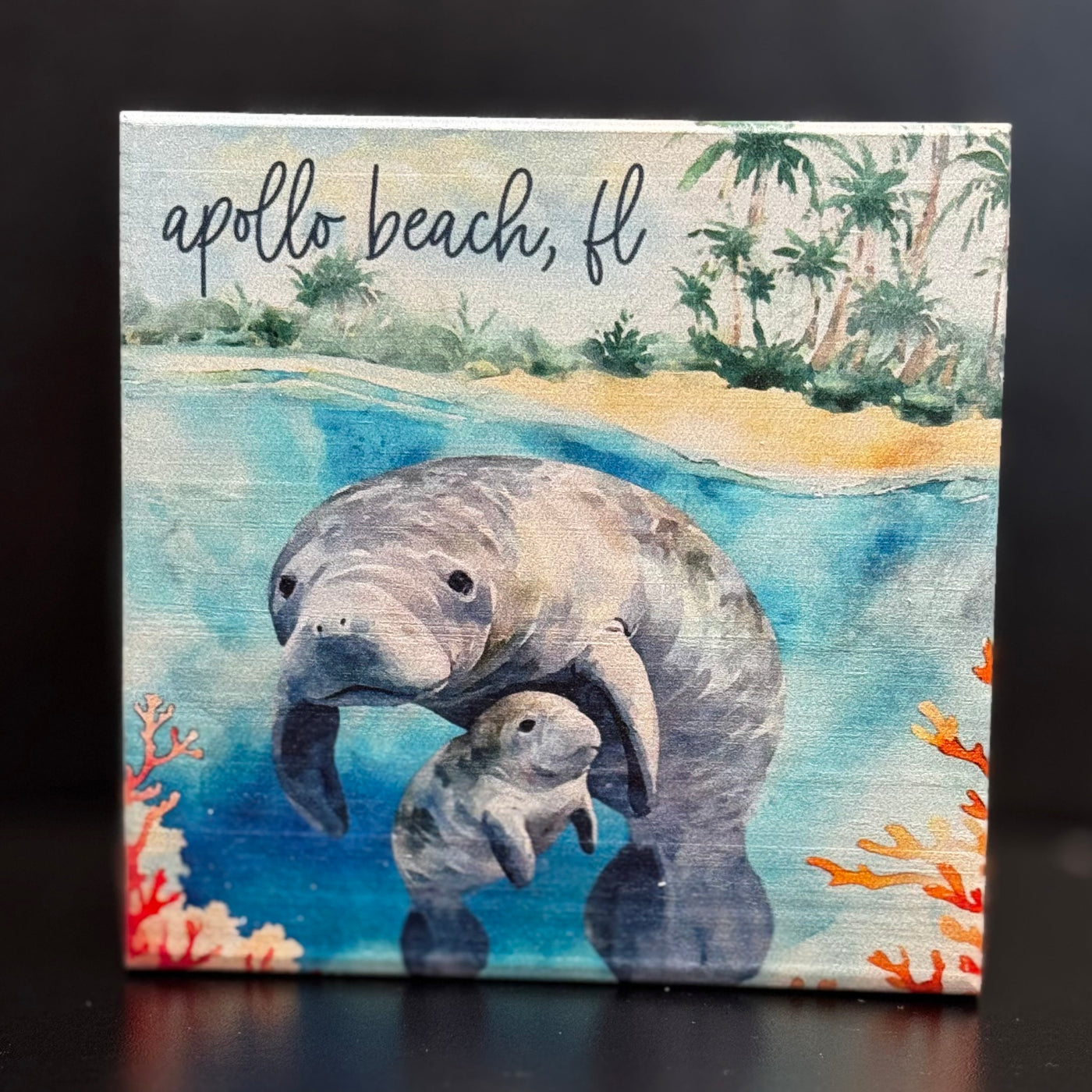 Sincere Surroundings Home Gifts -Manatees Beach Scene / Apollo Beach 5" X 5"